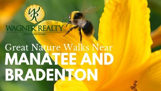 Nature Walks Near Manatee